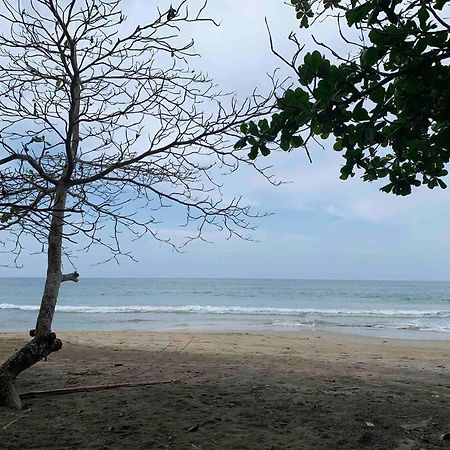 Beautiful Loft Near The Beach Leilighet Manzanillo  Eksteriør bilde