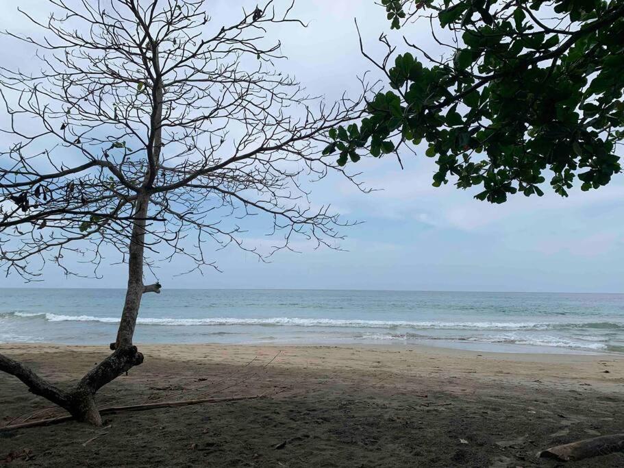 Beautiful Loft Near The Beach Leilighet Manzanillo  Eksteriør bilde